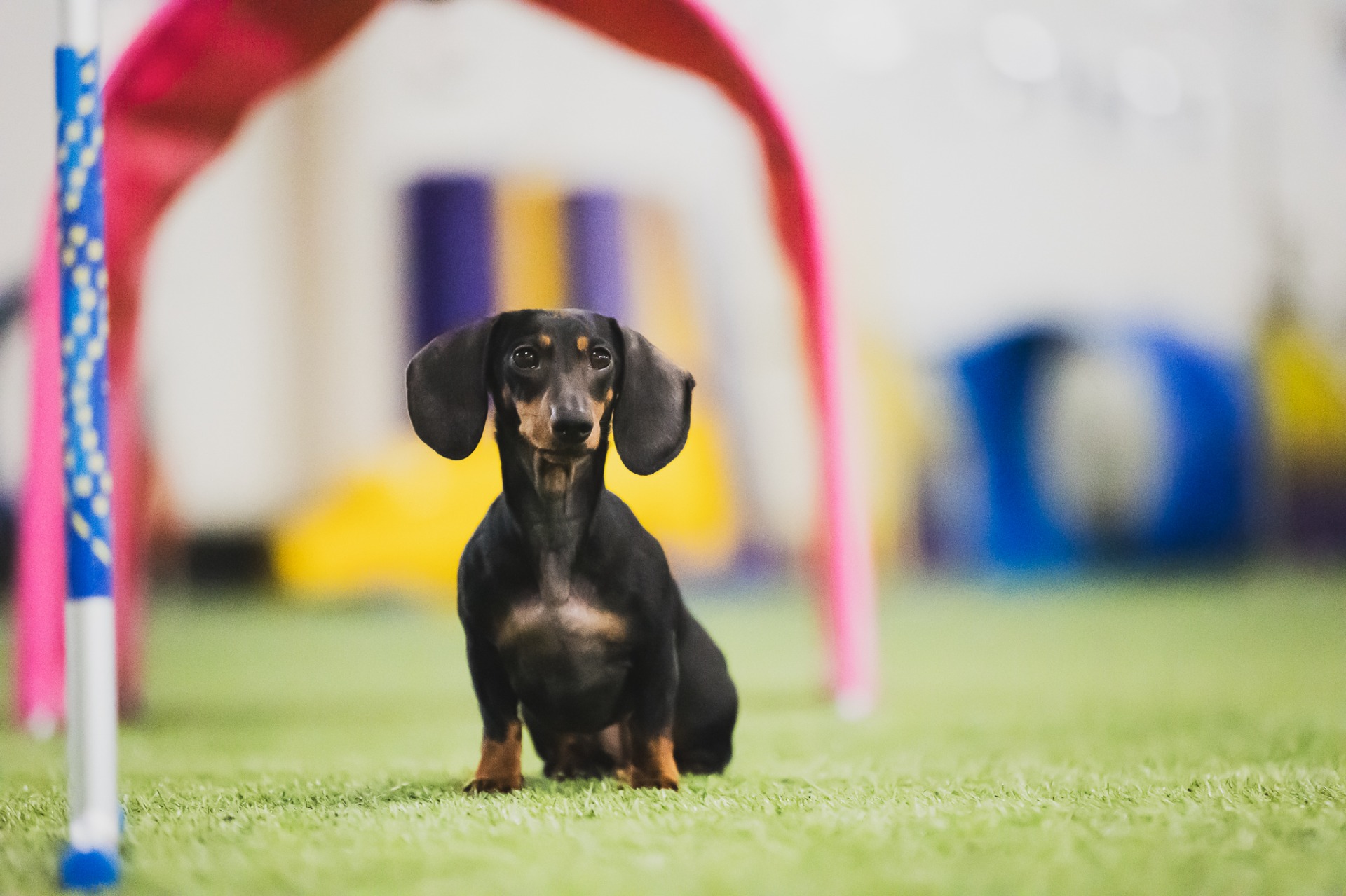 Kuva: Jenna Komulainen Photography